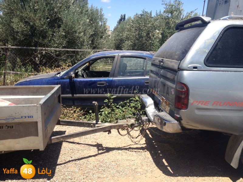 fight 2 famlilesi (8).JPG